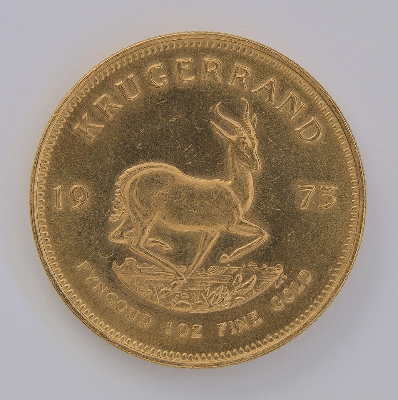 Expertise de pièces d’or 5 Krugerrand sud-africain d’une once d’or de 1975, face au springbok